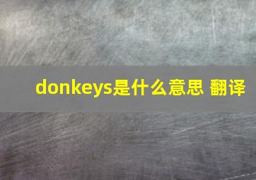 donkeys是什么意思 翻译